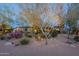 Desert landscaping with drought-tolerant plants and trees create a beautiful natural setting at 6069 E Ironwood Dr, Scottsdale, AZ 85266