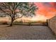 Desert backyard featuring gravel groundcover, mature shade tree, block wall, and a decorative iron view fence at 6520 E Hacienda La Noria Ln, Gold Canyon, AZ 85118