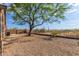 Large backyard with a tree, rocks, and a fence with beautiful desert vegetation and mountains behind at 6520 E Hacienda La Noria Ln, Gold Canyon, AZ 85118