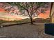Serene backyard featuring desert landscaping, a mature shade tree, and mountain views at 6520 E Hacienda La Noria Ln, Gold Canyon, AZ 85118