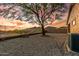 Gravel backyard featuring large tree, metal fence with beautiful mountain views, and the corner of a stucco house at sunset at 6520 E Hacienda La Noria Ln, Gold Canyon, AZ 85118