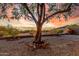 Desert backyard with a mature tree, gravel groundcover, decorative view fence, and desert mountain views at 6520 E Hacienda La Noria Ln, Gold Canyon, AZ 85118