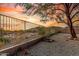 Landscaped backyard featuring a mature shade tree, desert plants and a metal fence at 6520 E Hacienda La Noria Ln, Gold Canyon, AZ 85118