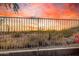 Backyard view showcasing the desert landscape, metal fence, and blooming bougainvillea at 6520 E Hacienda La Noria Ln, Gold Canyon, AZ 85118