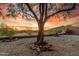 Gravel backyard featuring large tree with decorative rocks and metal fence with beautiful mountain views at sunset at 6520 E Hacienda La Noria Ln, Gold Canyon, AZ 85118