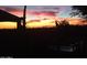 Backyard silhouette view of the sunset featuring saguaro cacti at 6520 E Hacienda La Noria Ln, Gold Canyon, AZ 85118