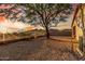 Desert backyard features gravel groundcover, a mature tree, and a decorative iron view fence with mountain views at 6520 E Hacienda La Noria Ln, Gold Canyon, AZ 85118