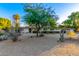 Well-maintained home featuring desert landscaping, mature trees, and a spacious front yard at 6615 E Desert Cove Ave, Scottsdale, AZ 85254