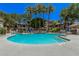 Community pool area with palm trees, lounge chairs, and mature landscaping at 15095 N Thompson Peak Pkwy # 1005, Scottsdale, AZ 85260