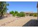 Expansive backyard showcasing desert landscaping, mature trees, and vibrant flowering shrubs at 15658 W Arbor Trl, Surprise, AZ 85374