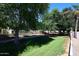 Lush green landscape and mature shade trees lining a quiet neighborhood street at 1640 W Gail Dr, Chandler, AZ 85224