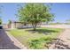 Spacious backyard with a lush green lawn, mature tree, and charming brick pathway at 2130 W Cindy St, Chandler, AZ 85224