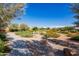 Scenic community landscape with walking path, native plants, and rock features at 22944 E Via Del Oro --, Queen Creek, AZ 85142