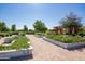 Beautiful community garden with raised garden beds, gravel paths, and mature trees at 22944 E Via Del Oro --, Queen Creek, AZ 85142
