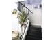 Elegant staircase with sleek black railings, decorative shelves, and modern wall decor at 286 W Palomino Dr # 78, Chandler, AZ 85225