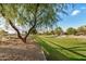 Green space with mature trees and walking path, offering scenic views and a tranquil environment at 4453 S Huachuca Way, Chandler, AZ 85249