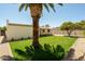 Grassy backyard boasts a mature palm tree with gravel accents and privacy from neighbors at 7618 N Via Del Paraiso --, Scottsdale, AZ 85258
