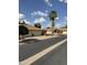 Charming street view with well-maintained homes, palm trees, and manicured landscaping at 8255 E Kiva Ave # 430, Mesa, AZ 85209