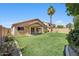 Spacious backyard with lush green grass, a covered patio, mature palm tree, and well-maintained landscaping at 1029 E Jasper Dr, Gilbert, AZ 85296