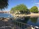 Home with a serene backyard on the water featuring mature trees and rock accents at 20641 N 110Th Ave, Peoria, AZ 85373