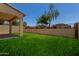 A lush green lawn complements this back yard, complete with a covered patio and block fencing for privacy at 21039 E Avenida Del Valle --, Queen Creek, AZ 85142