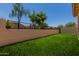A green lawn creates a relaxing atmosphere in this private backyard with views of the neighborhood beyond the block fence at 21039 E Avenida Del Valle --, Queen Creek, AZ 85142