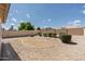 Spacious gravel backyard with mature landscaping and a block wall, offering a private outdoor retreat at 2698 E Denim Trl, San Tan Valley, AZ 85143