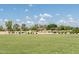 Community park featuring large grassy area, ramadas, picnic tables, and lush green shade trees at 2698 E Denim Trl, San Tan Valley, AZ 85143
