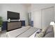Bedroom featuring ample closet space, neutral carpet, and blue accent wall at 3055 N Red Mtn # 77, Mesa, AZ 85207