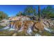 Picturesque water feature surrounded by desert landscaping, including a mature Saguaro cactus at 3055 N Red Mtn # 77, Mesa, AZ 85207