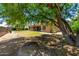 Landscaped backyard with mature trees, grass, and patio at 3715 S Skyline Dr, Gilbert, AZ 85297