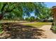 Large landscaped backyard with gravel, grass, and many trees at 3715 S Skyline Dr, Gilbert, AZ 85297