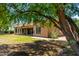Backyard with landscaping, grass, and mature shade trees at 3715 S Skyline Dr, Gilbert, AZ 85297