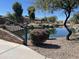 Scenic pond with lush landscaping in a community park, enhanced by a decorative bridge at 3865 E Dogwood Pl, Chandler, AZ 85286