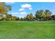 Expansive green field area featuring a playground in the distance, perfect for community recreation and outdoor activities at 42 S Nevada Way, Gilbert, AZ 85233