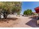 Large backyard with gravel, mature trees, and privacy fence at 421 S 113Th Way, Mesa, AZ 85208