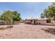 Expansive backyard featuring gravel, mature trees, and covered patio perfect for outdoor relaxation at 421 S 113Th Way, Mesa, AZ 85208
