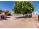 Large backyard featuring mature trees and providing ample shade for outdoor activities at 421 S 113Th Way, Mesa, AZ 85208