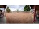Large backyard featuring mature trees, a privacy fence, and low-maintenance desert landscaping at 421 S 113Th Way, Mesa, AZ 85208
