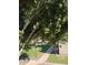 Patio with shade trees overlooking grassy area and building exterior at 520 N Stapley Dr # 265, Mesa, AZ 85203