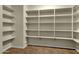 Walk-in pantry with ample shelving space for organized storage at 5223 W Bent Tree Dr, Phoenix, AZ 85083