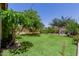 Spacious backyard with lush green grass and mature trees, perfect for outdoor activities at 5659 N 195Th Dr, Litchfield Park, AZ 85340