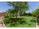 Lush backyard featuring green grass, mature trees, string lights, and well-maintained landscaping at 5659 N 195Th Dr, Litchfield Park, AZ 85340