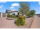 Landscaped front yard with desert plants and a decorative tree at 6715 S Lakeshore Dr, Tempe, AZ 85283