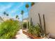 Charming landscaped outdoor area with desert plants, perfect for enjoying the natural surroundings at 7115 E Buena Terra Way, Paradise Valley, AZ 85253