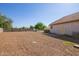 Expansive backyard with gravel, block fencing, and mature landscaping for privacy at 1443 N Poppy St, Casa Grande, AZ 85122