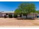 Charming single-story home with well-maintained landscaping and a mature shade tree at 230 E Fairmont Dr, Tempe, AZ 85282