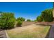 Expansive backyard with a privacy wall, mature trees, and desert landscaping at 2920 E Virginia E St, Mesa, AZ 85213