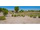 Serene view of a community park with desert landscaping and walking trails at 2920 E Virginia E St, Mesa, AZ 85213