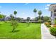 Well-maintained apartment complex grounds with lush lawns, palm trees, and walking paths at 295 N Rural Rd # 133, Chandler, AZ 85226